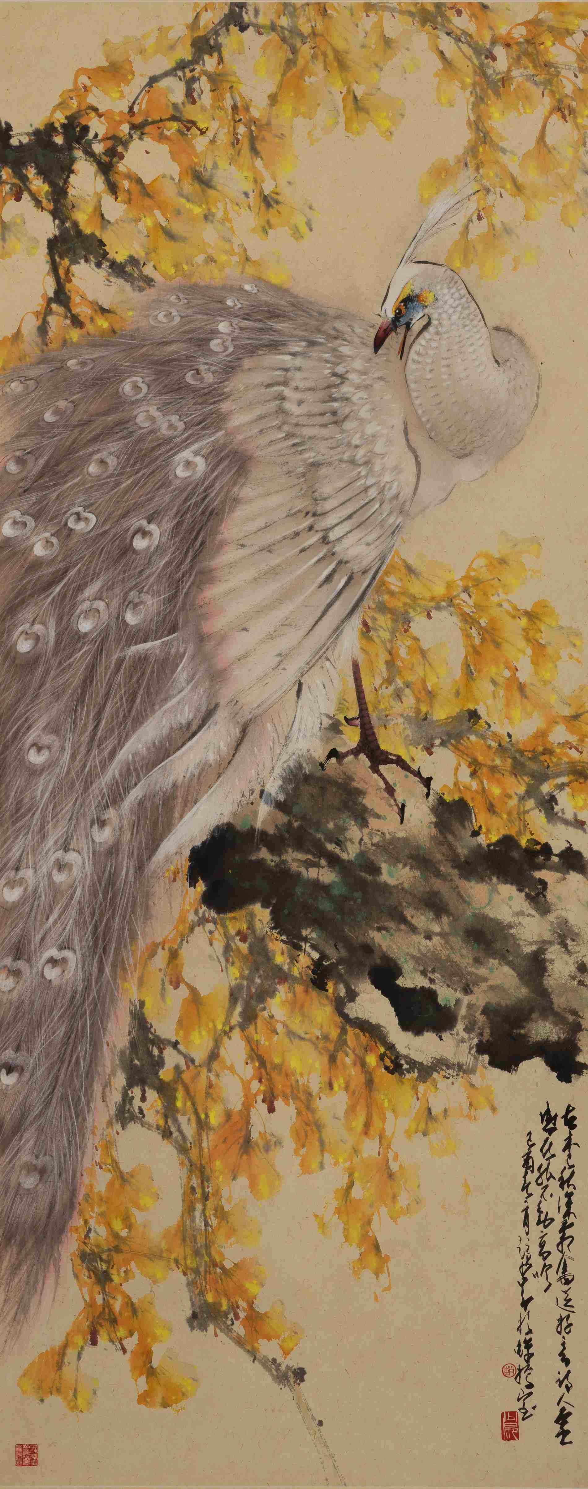 《霜光素羽》