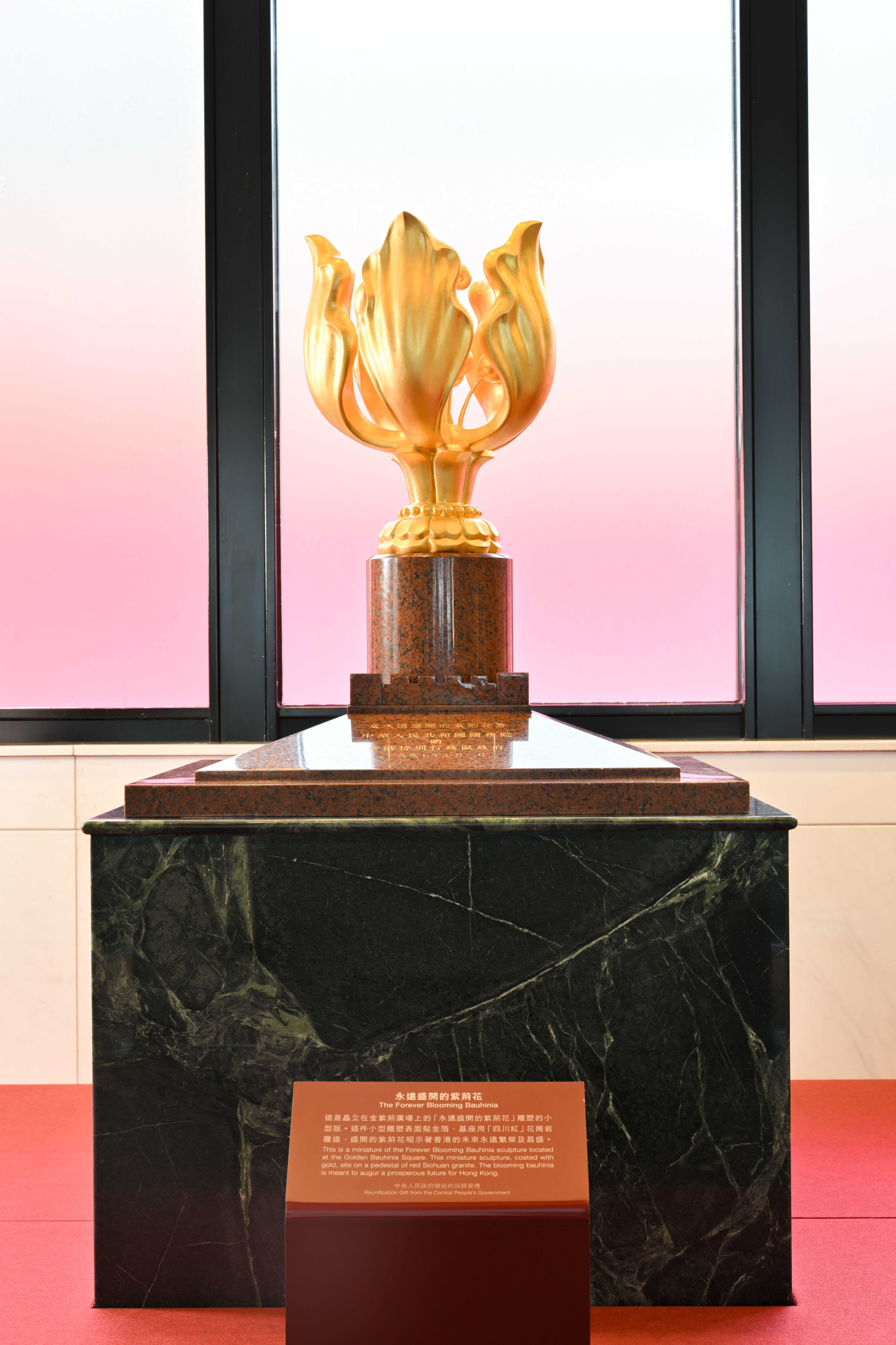 永远盛开的紫荆花